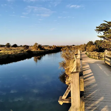 La Terrasse De La Marina