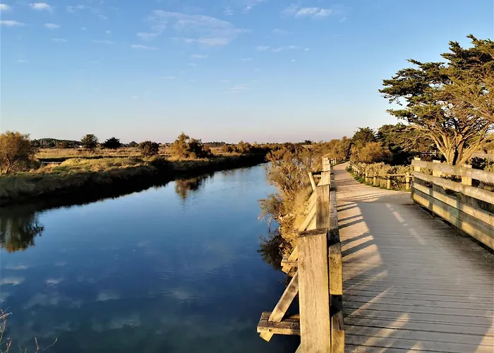 La Terrasse De La Marina
